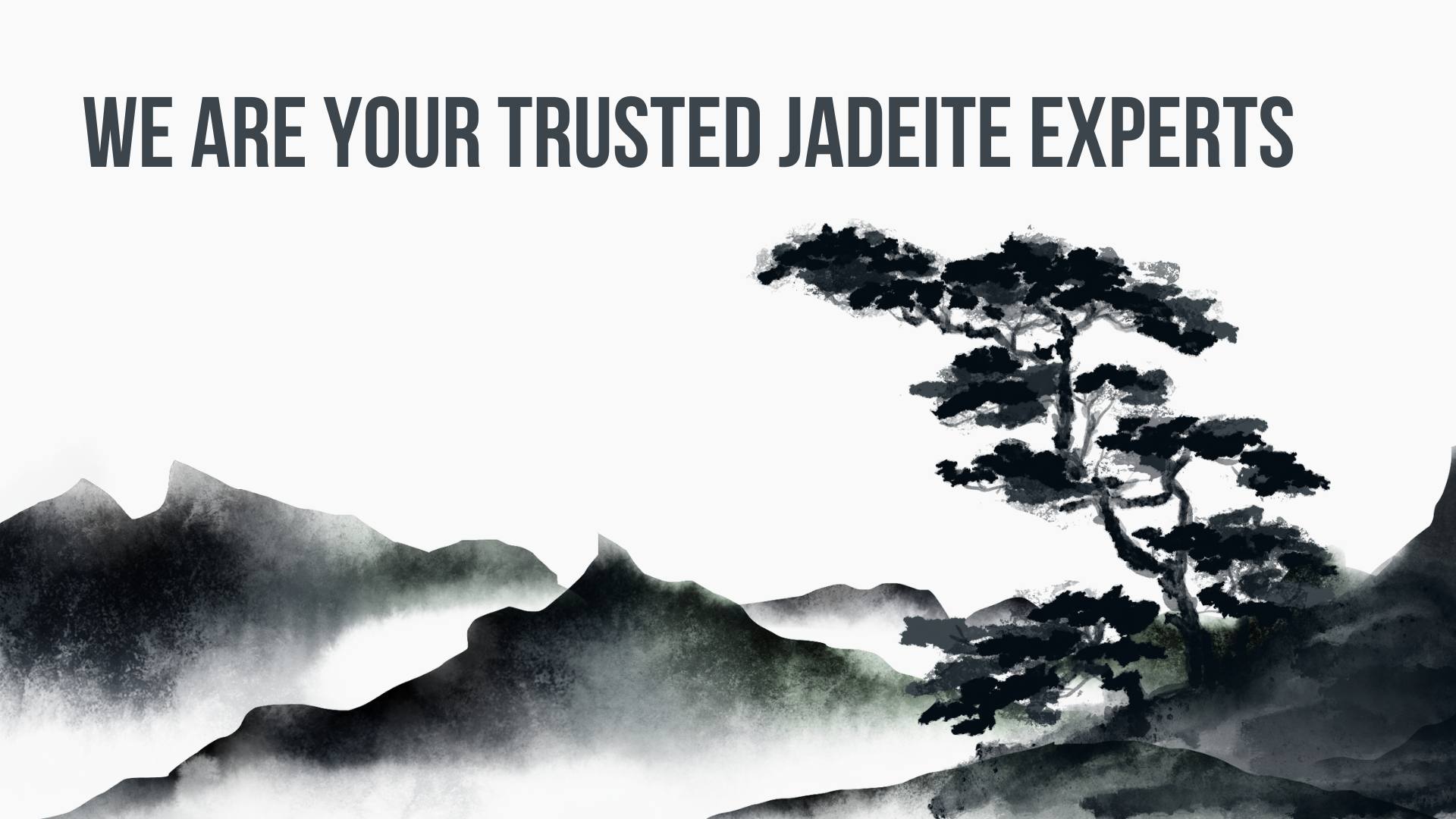 Why Choose Us? Your Trusted Jadeite Experts